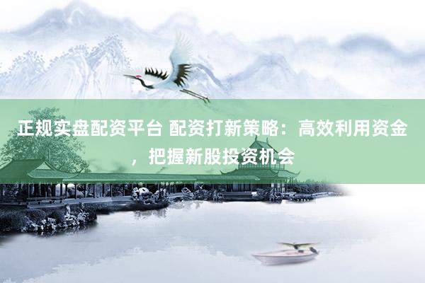 正规实盘配资平台 配资打新策略：高效利用资金，把握新股投资机会