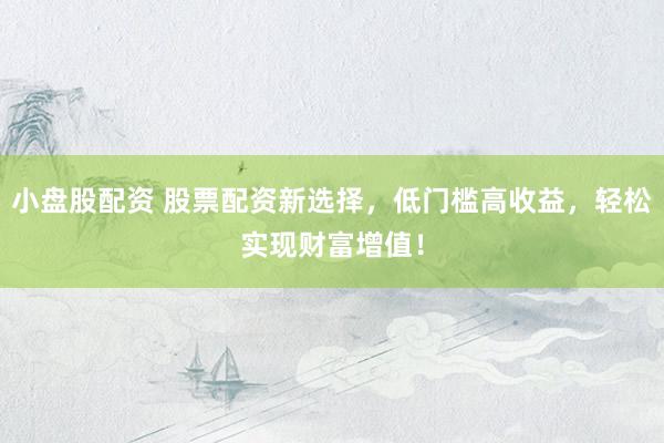 小盘股配资 股票配资新选择，低门槛高收益，轻松实现财富增值！