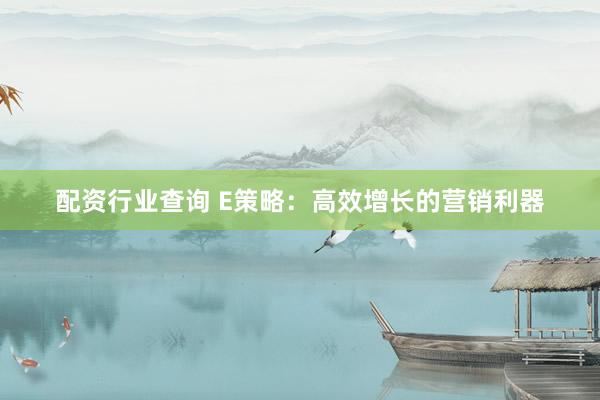 配资行业查询 E策略：高效增长的营销利器