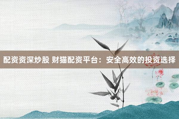 配资资深炒股 财猫配资平台：安全高效的投资选择