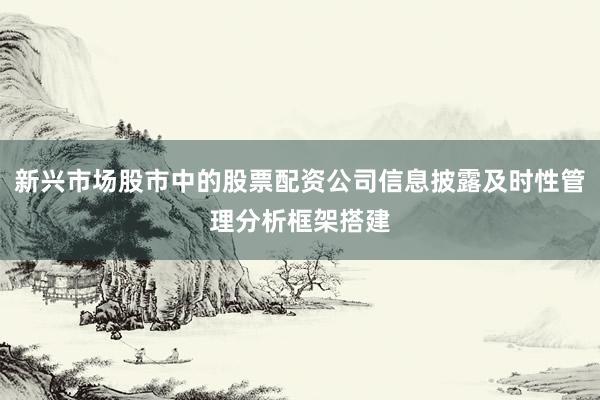 新兴市场股市中的股票配资公司信息披露及时性管理分析框架搭建