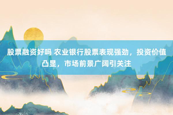股票融资好吗 农业银行股票表现强劲，投资价值凸显，市场前景广阔引关注