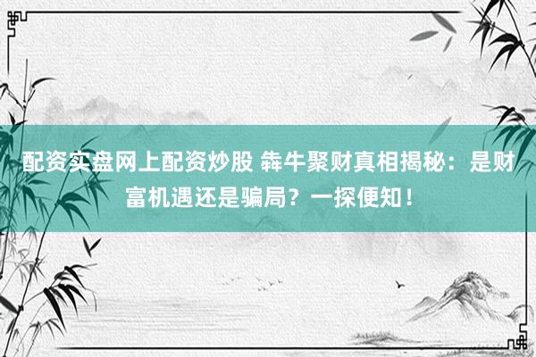 配资实盘网上配资炒股 犇牛聚财真相揭秘：是财富机遇还是骗局？一探便知！