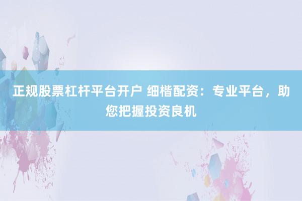 正规股票杠杆平台开户 细楷配资：专业平台，助您把握投资良机